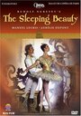 La belle au bois dormant (2000) скачать бесплатно в хорошем качестве без регистрации и смс 1080p La belle au bois dormant (2000) скачать бесплатно в хорошем качестве без регистрации и смс 1080p