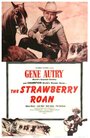 The Strawberry Roan (1948) кадры фильма смотреть онлайн в хорошем качестве