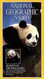 Secrets of the Wild Panda (1995) скачать бесплатно в хорошем качестве без регистрации и смс 1080p Secrets of the Wild Panda (1995) скачать бесплатно в хорошем качестве без регистрации и смс 1080p