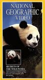 Secrets of the Wild Panda (1995) скачать бесплатно в хорошем качестве без регистрации и смс 1080p