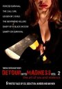 Detour Into Madness Vol 2. (2006) скачать бесплатно в хорошем качестве без регистрации и смс 1080p