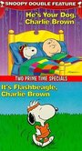 Смотреть «It's Flashbeagle, Charlie Brown» онлайн фильм в хорошем качестве