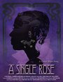 A Single Rose (2003) кадры фильма смотреть онлайн в хорошем качестве