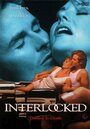 A Bold Affair (1998) скачать бесплатно в хорошем качестве без регистрации и смс 1080p A Bold Affair (1998) скачать бесплатно в хорошем качестве без регистрации и смс 1080p