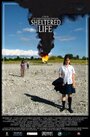 Sheltered Life (2008) скачать бесплатно в хорошем качестве без регистрации и смс 1080p