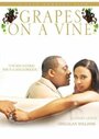 Grapes on a Vine (2008) скачать бесплатно в хорошем качестве без регистрации и смс 1080p