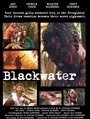 Blackwater (2007) скачать бесплатно в хорошем качестве без регистрации и смс 1080p