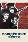 Рожденные бурей (1981)