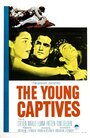 The Young Captives (1959) скачать бесплатно в хорошем качестве без регистрации и смс 1080p The Young Captives (1959) скачать бесплатно в хорошем качестве без регистрации и смс 1080p