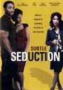 Subtle Seduction (2008) скачать бесплатно в хорошем качестве без регистрации и смс 1080p