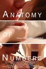 Смотреть «Anatomy of Numbers» онлайн фильм в хорошем качестве