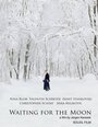 Warten auf den Mond (2007) скачать бесплатно в хорошем качестве без регистрации и смс 1080p