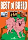 Roaring Leo Presents: Best of Breed Volume 1 (2008) скачать бесплатно в хорошем качестве без регистрации и смс 1080p