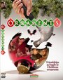 Смотреть «Ornaments» онлайн фильм в хорошем качестве