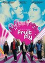 Fruit Fly (2009) скачать бесплатно в хорошем качестве без регистрации и смс 1080p