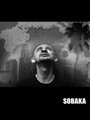 Sobaka (2008) кадры фильма смотреть онлайн в хорошем качестве