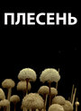 Смотреть «Плесень» онлайн фильм в хорошем качестве