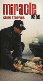 Animal Miracles (2001) трейлер фильма в хорошем качестве 1080p Animal Miracles (2001) трейлер фильма в хорошем качестве 1080p