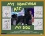 My Homework Ate My Dog (2009) трейлер фильма в хорошем качестве 1080p