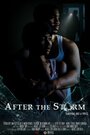 After the Storm (2009) скачать бесплатно в хорошем качестве без регистрации и смс 1080p