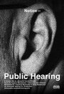 Public Hearing (2012) скачать бесплатно в хорошем качестве без регистрации и смс 1080p