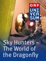 The Sky Hunters (1915) кадры фильма смотреть онлайн в хорошем качестве