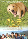 Kinako: Minarai keisatsuken no monogatari (2010) скачать бесплатно в хорошем качестве без регистрации и смс 1080p Kinako: Minarai keisatsuken no monogatari (2010) скачать бесплатно в хорошем качестве без регистрации и смс 1080p