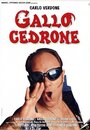 Gallo cedrone (1998) кадры фильма смотреть онлайн в хорошем качестве