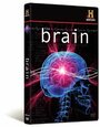 The Brain (2008) трейлер фильма в хорошем качестве 1080p The Brain (2008) трейлер фильма в хорошем качестве 1080p