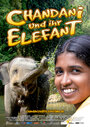 Chandani: The Daughter of the Elephant Whisperer (2010) кадры фильма смотреть онлайн в хорошем качестве