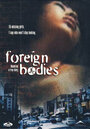 Foreign Bodies (1994)