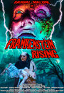 Frankenstein Rising (2010) скачать бесплатно в хорошем качестве без регистрации и смс 1080p