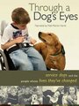 Смотреть «Through a Dog's Eyes» онлайн фильм в хорошем качестве