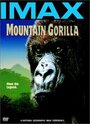 Mountain Gorilla (1992) скачать бесплатно в хорошем качестве без регистрации и смс 1080p