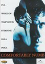 Comfortably Numb (1995) скачать бесплатно в хорошем качестве без регистрации и смс 1080p Comfortably Numb (1995) скачать бесплатно в хорошем качестве без регистрации и смс 1080p