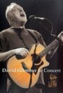 David Gilmour in Concert (2002) трейлер фильма в хорошем качестве 1080p