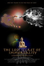 The Lost Secret of Immortality (2011) скачать бесплатно в хорошем качестве без регистрации и смс 1080p