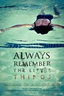 Always Remember the Little Things (2010) скачать бесплатно в хорошем качестве без регистрации и смс 1080p