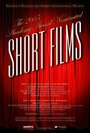 2005 Academy Award Nominated Short Films (2006) трейлер фильма в хорошем качестве 1080p