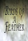 Birds of a Feather (2011) кадры фильма смотреть онлайн в хорошем качестве