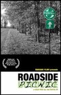 Roadside Picnic (2011)