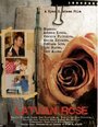 Latvian Rose (2010) кадры фильма смотреть онлайн в хорошем качестве