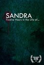 Sandra: Twelve Hours in the Life of... (2011)