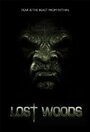 Смотреть «Lost Woods» онлайн фильм в хорошем качестве