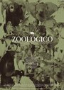 Zoológico (2011) кадры фильма смотреть онлайн в хорошем качестве