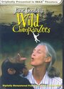 Jane Goodall's Wild Chimpanzees (2002) скачать бесплатно в хорошем качестве без регистрации и смс 1080p Jane Goodall's Wild Chimpanzees (2002) скачать бесплатно в хорошем качестве без регистрации и смс 1080p