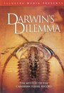 Смотреть «Darwin's Dilemma» онлайн фильм в хорошем качестве