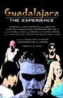 Guadalajara: The Experience (2010)