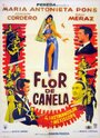 Flor de canela (1959) кадры фильма смотреть онлайн в хорошем качестве