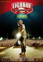 Ligabue Campovolo - il film 3D (2011) скачать бесплатно в хорошем качестве без регистрации и смс 1080p